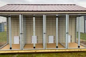 dog kennel 2
